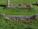 image of grave number 719095